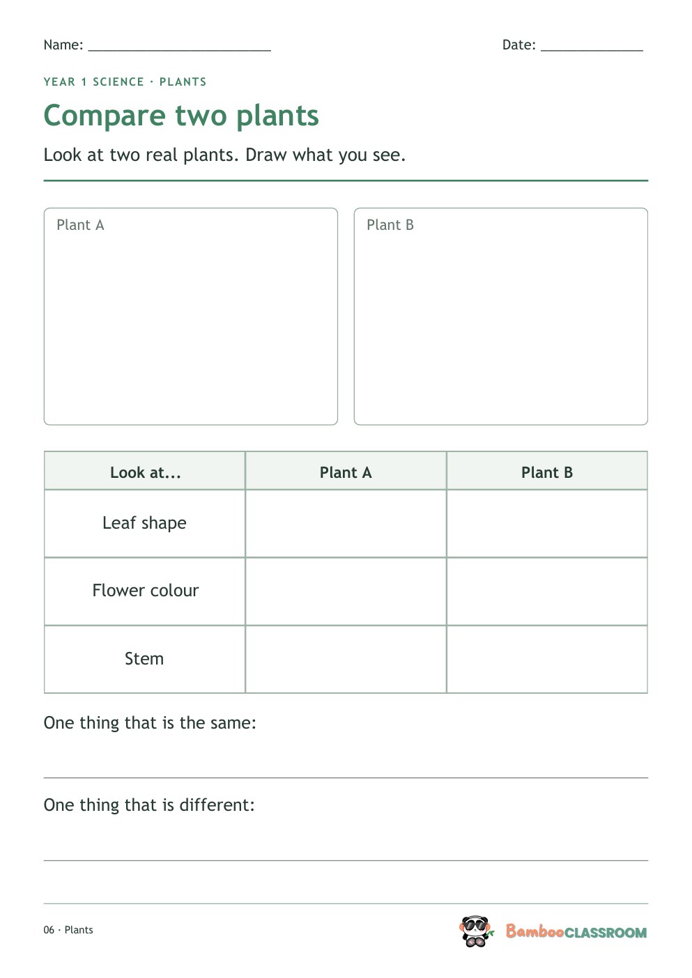 Included worksheet: Compare Two Plants