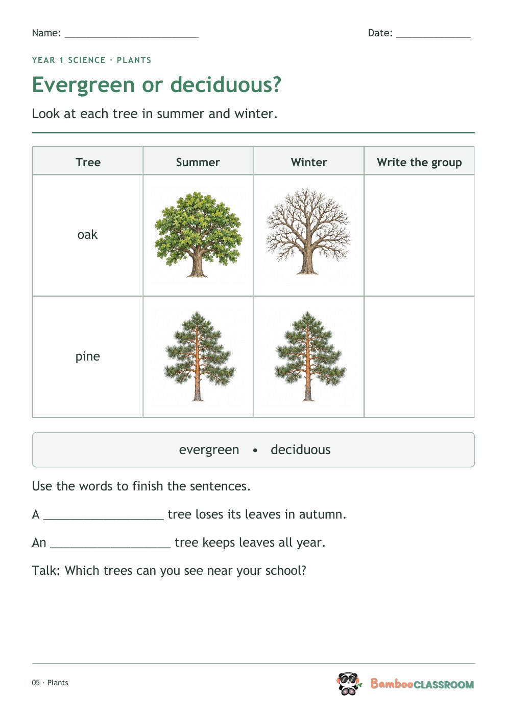 Included worksheet: Evergreen or Deciduous?