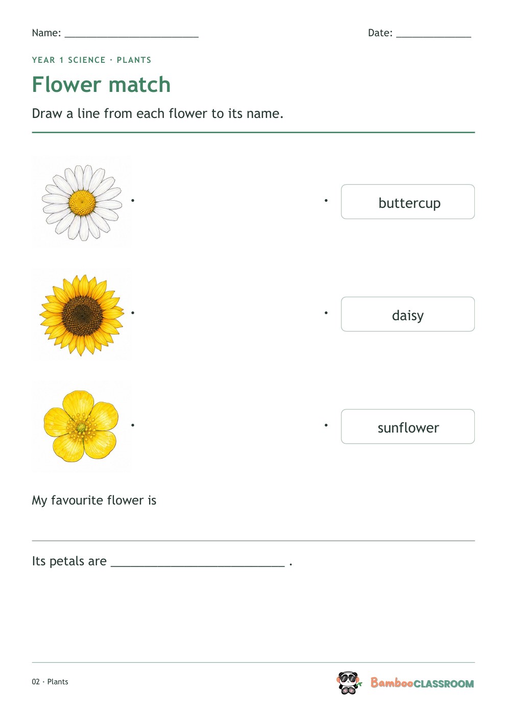 Included worksheet: Flower Match