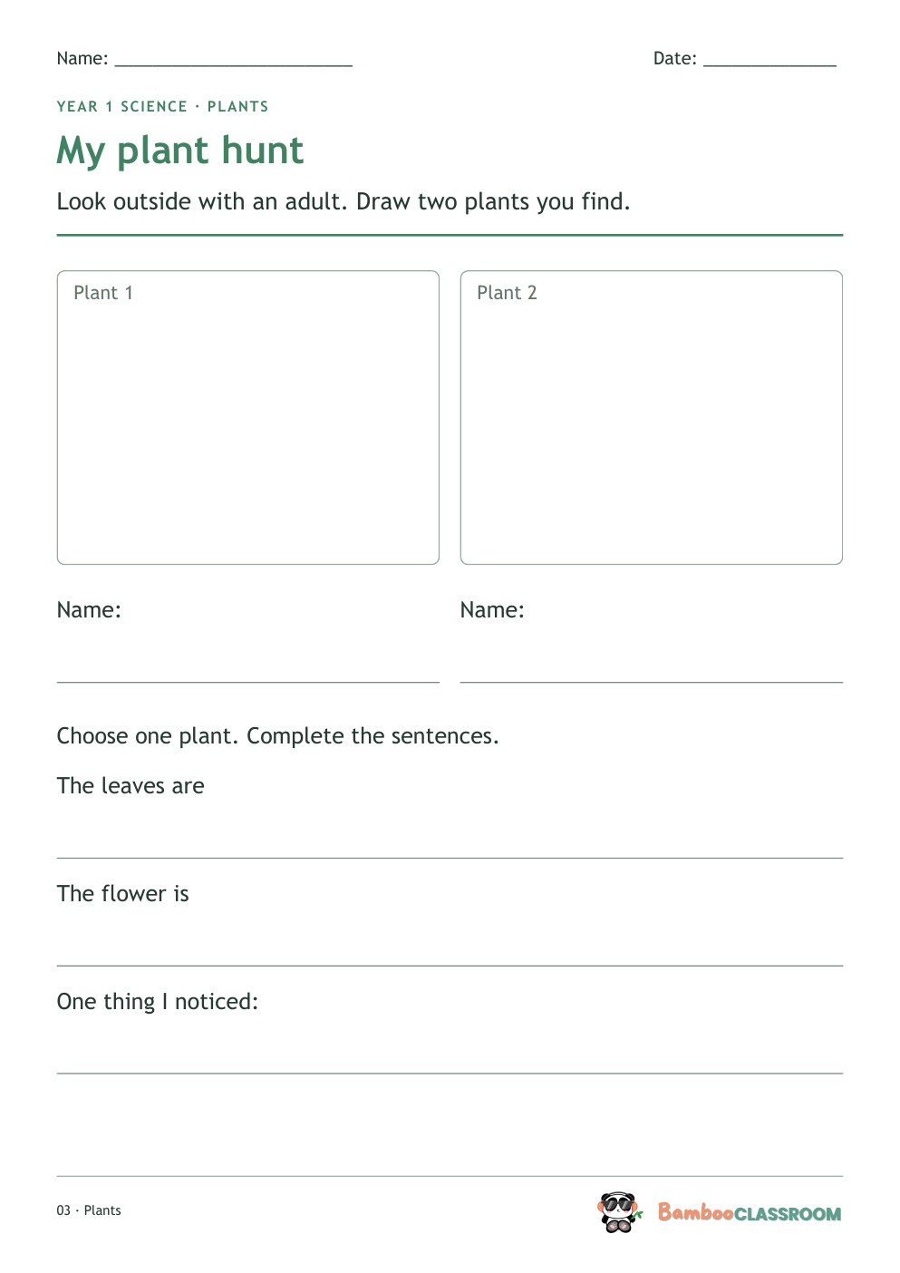 Included worksheet: My Plant Hunt