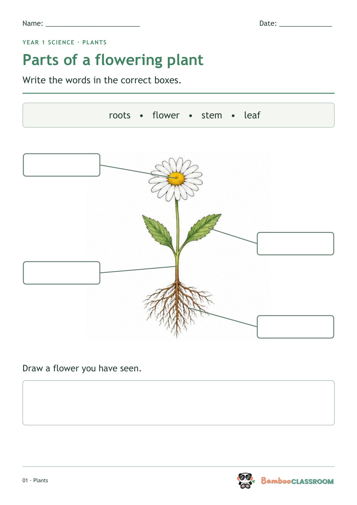 Included worksheet: Parts of a Flowering Plant