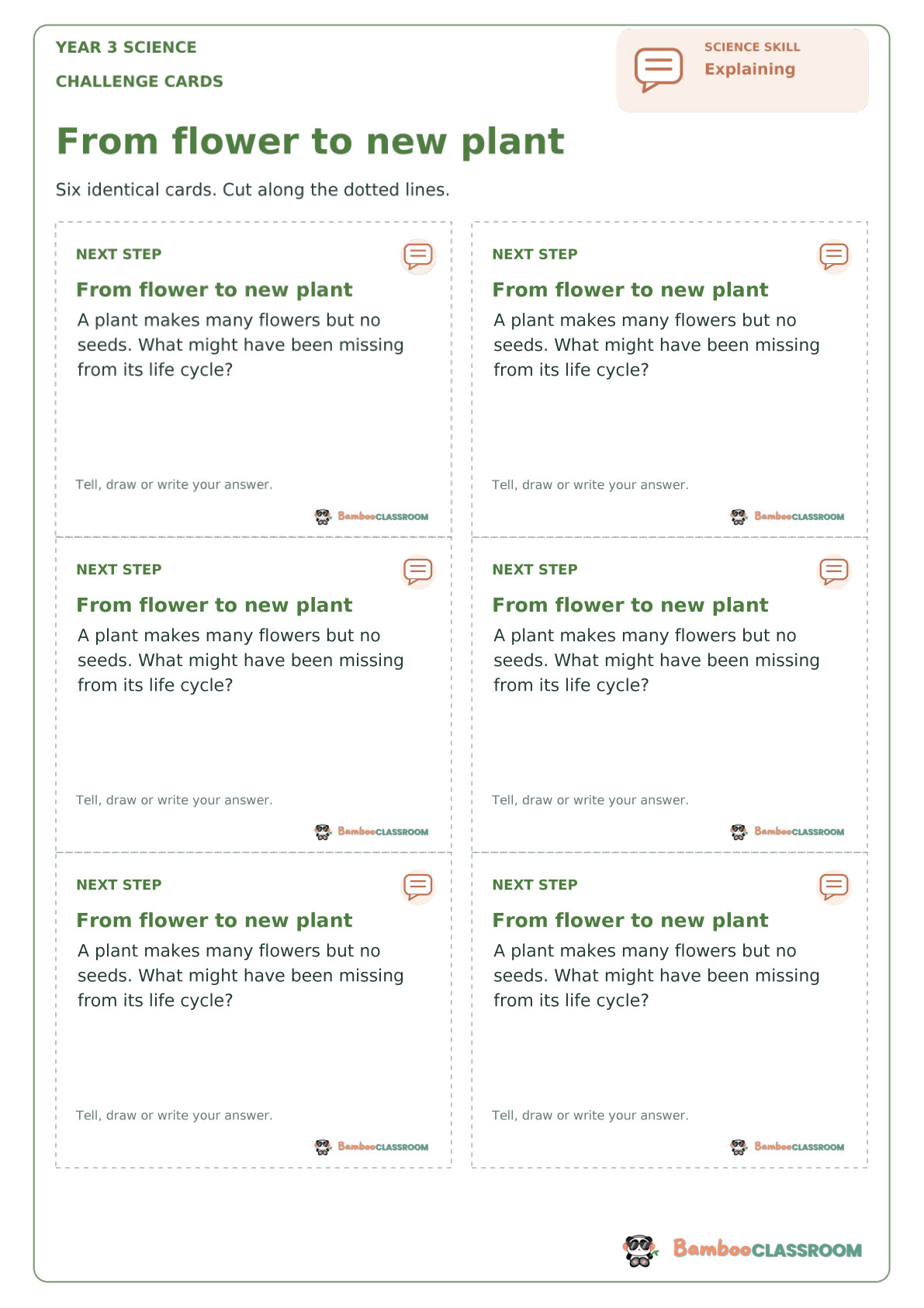 Challenge Cards preview