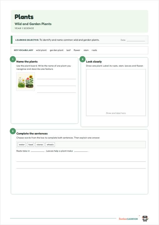 Preview of Plants: Wild and Garden Plants